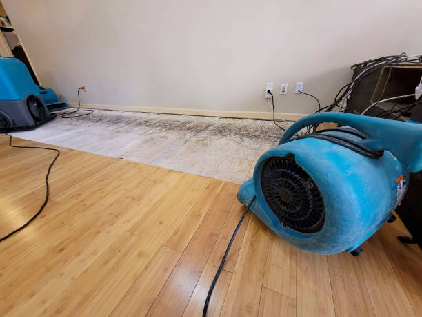 Professional Sewage Cleanup technician working in Caledonia, OH